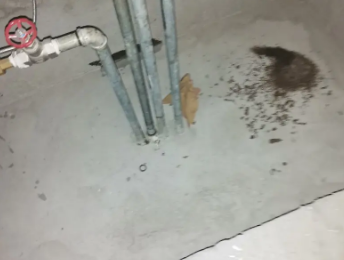 常熟卫生间测漏水价格明细